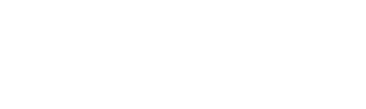 logo bizarro