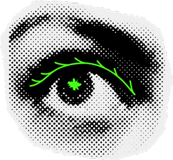 ojo