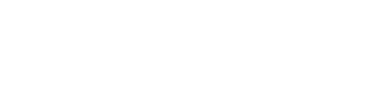 logo bizarro