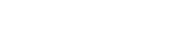 logo bizarro