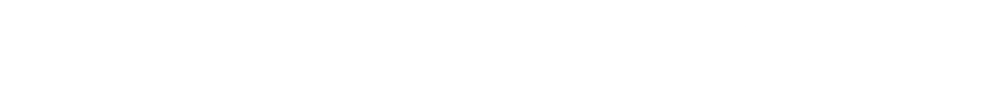 logo bizarro
