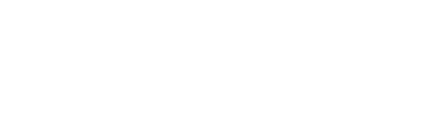 logo evelyn 2026