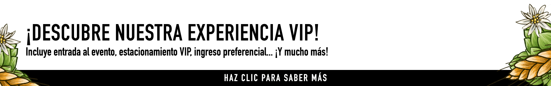 front banner
