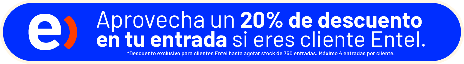 banner entel