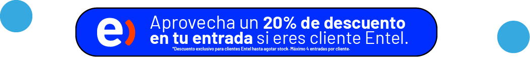 banner entel