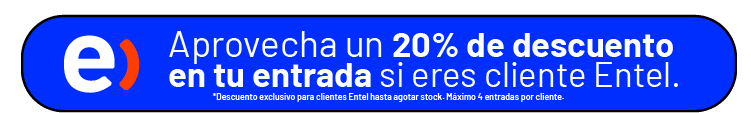 banner entel