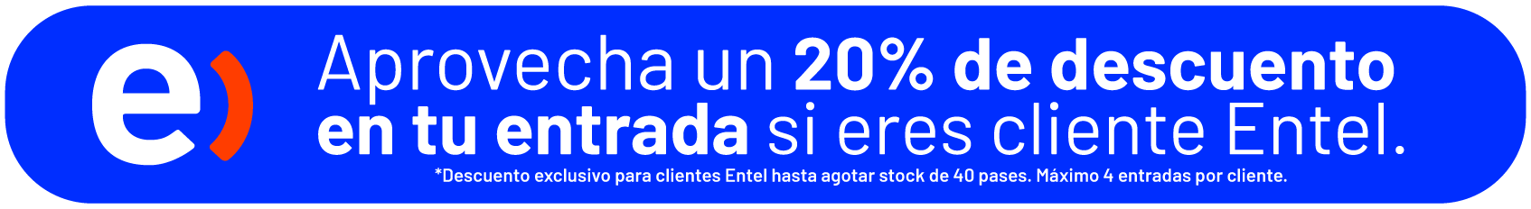 banner entel