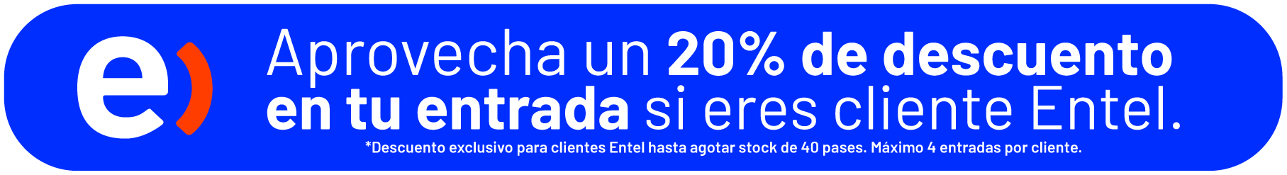 banner entel
