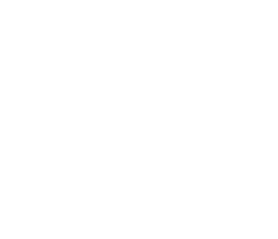 cirque du soleil CRYSTAL