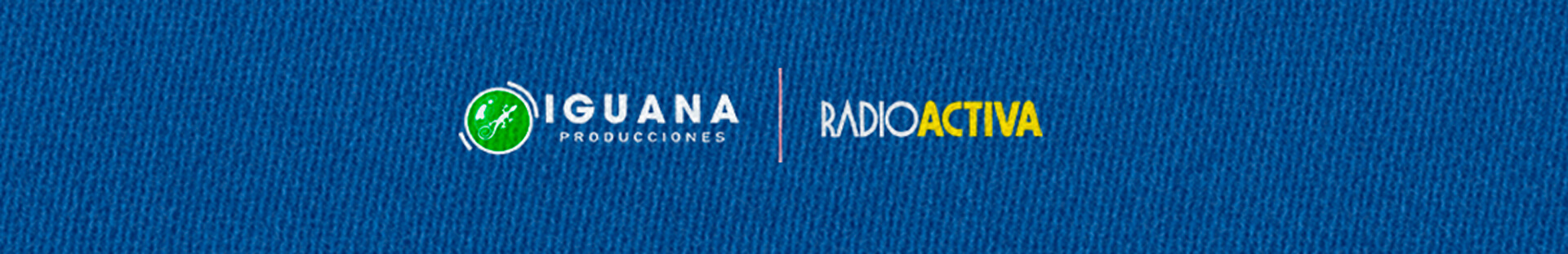 logo footer