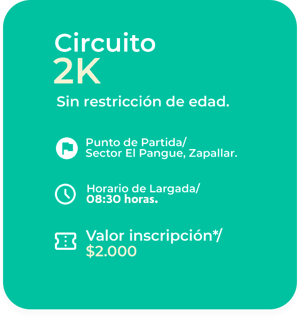 ticket circuito niño