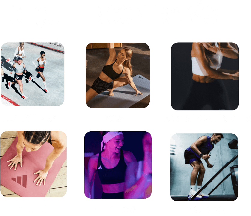 lo que encontrarás
