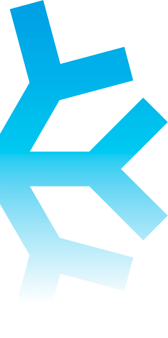 rueda