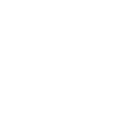 icono