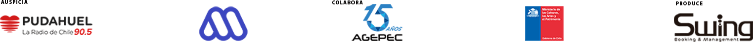 logo footer