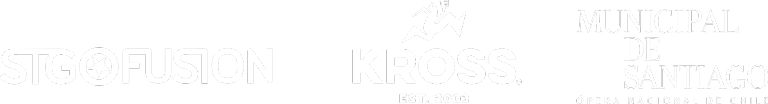 logo footer