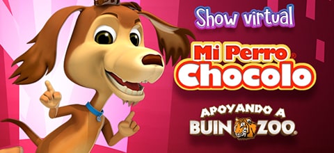  Show virtual de Mi Perro Chocolo Streaming Punto Play - Santiago Centro