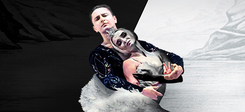  Gran Ballet Internacional El Lago de los Cisnes Teatro Caupolicán - Santiago