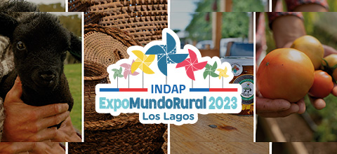  Expo Mundo Rural Los Lagos 2023 Parque Estación de Puerto Varas - Puerto Varas