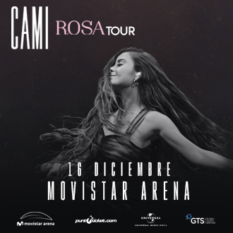  Cami Movistar Arena - Santiago Centro