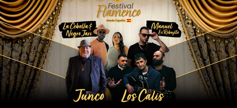  Festival Flamenco Teatro Caupolicán - Santiago Centro