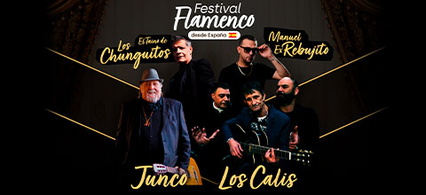  Festival Flamenco Teatro Caupolicán - Santiago Centro