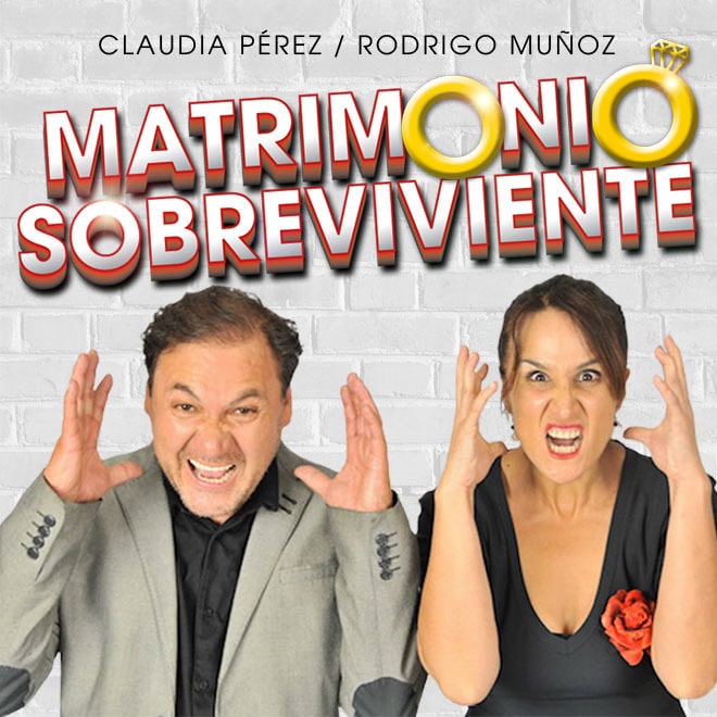  Matrimonio Sobreviviente Streaming Punto Play - Santiago Centro