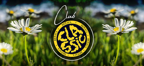  Club Classic Spring Club Español de Reñaca - Viña Del Mar